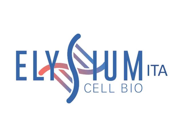 Elysium logo